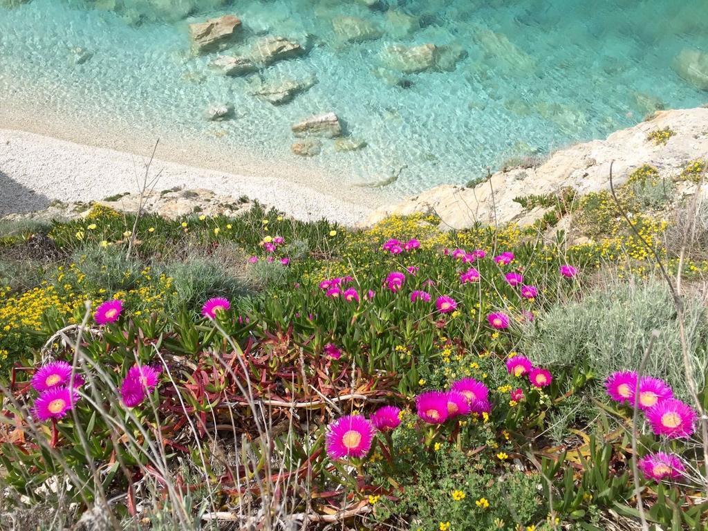 Experience Relais " Il Termine Elba " Hotel ริโอมารินา ภายนอก รูปภาพ
