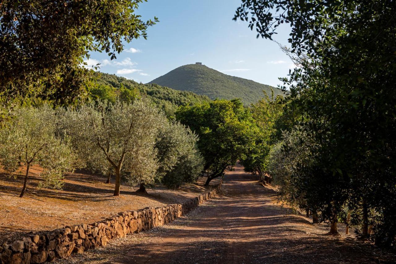 Experience Relais " Il Termine Elba " Hotel ริโอมารินา ภายนอก รูปภาพ